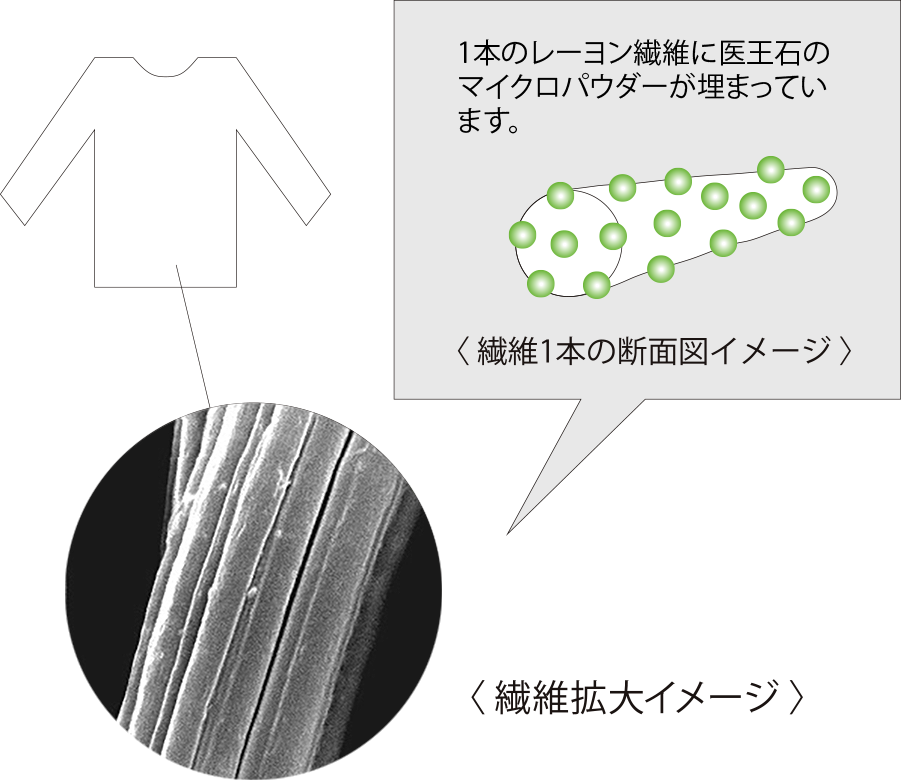 繊維１本の断面図イメージ